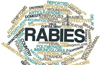 Youth in Bajpe dies in hospital rabies suspected
